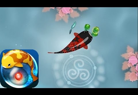 Astuces Zen Koi triche ios perles Zen Koi – A Tranquil Aquatic Journey